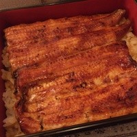 鰻割烹 伊豆栄 本店 - 伊豆栄本店(うな重梅)