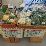 らららマルシェ - 小森農園さんのオレンジカリフラワー