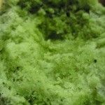 赤乃れん - 実は中に更に練乳を仕込んでいた！！