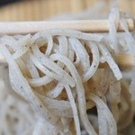 そば処 平石亭 - 定番「源流ざるそば」食べますところです(11/5UP)