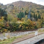 そば処 平石亭 - お店様内から野外を撮影です(11/5UP)