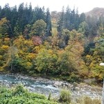 そば処 平石亭 - お店様内から野外を撮影②です(11/5UP)