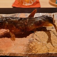 伯雲 - 長野県天竜川の鮎の炭火焼き