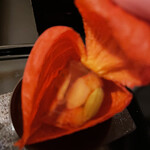 日本海 - オレンジが可愛いほおずきの中には、海老・温玉・枝豆のゼリー寄せ