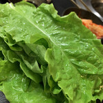 京松蘭 - フレッシュなチシャ