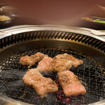 京松蘭 - てっちゃん