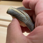 くるますし - こはだ