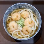 うどんダイニング うずまき - 小エビ天かけうどん ¥850