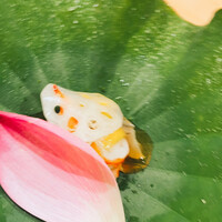 日本料理 寺田 - 