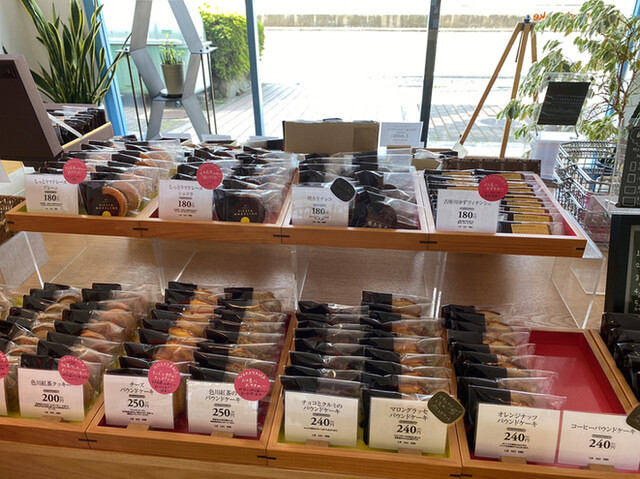 アルトロシルのリーフレット