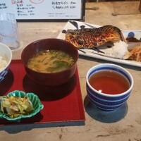 圓 弁柄 渋谷ストリーム - 