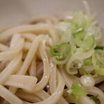 北海道純雪うどん - ぶっかけうどん(冷)ネギをたっぷり乗せてみた♪(2021年8月)