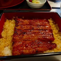 鰻割烹 伊豆栄 本店 - 鰻の梅