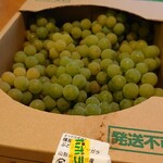 よってけポポラ - 葡萄ナイアガラ(山形県東根市産)1000円