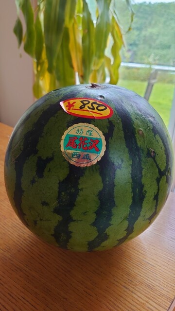 笹原西瓜農園 - 大石田（その他）の写真