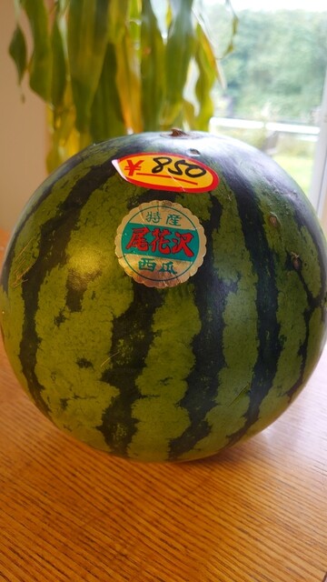 笹原西瓜農園 - 大石田（その他）の写真