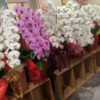 りきちゃん 祇園店 - 