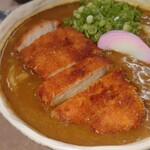 忍者うどん - 料理写真: