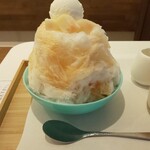 木下茶園 - 横からの図