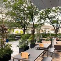 Bar Espanol YEBRA - 