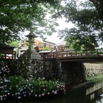 千成亭 八幡堀店 - あじさい咲く八幡堀