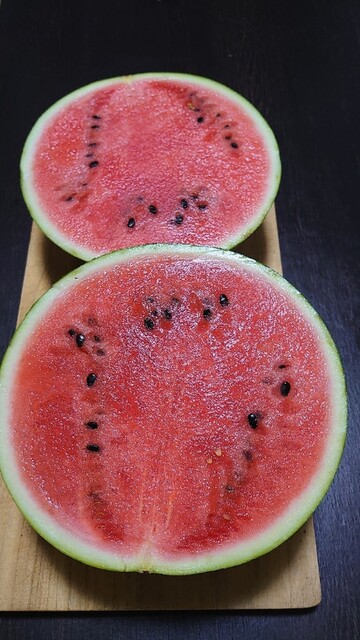 笹原西瓜農園 - 大石田（その他）の写真