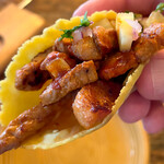 タコファナティコ - 