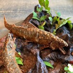 レヴォ - くわっとしてる。