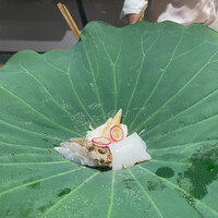 御幸町 田がわ - 