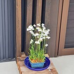 ベーカリーツキヨシ - 