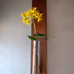 竹屋 - お部屋に飾られたツワブキのお花。