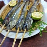 池田養魚場渓流館 - ヒクヒクするイワナ