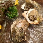 クードクール - 的矢カキ