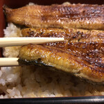 Unagi Fujita - 