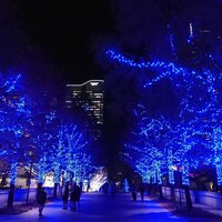 リストランテ　ウミリア - 