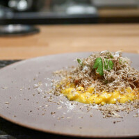 ARMONICO - 