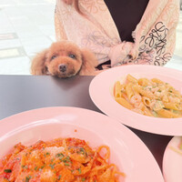 grigio la tavola - 