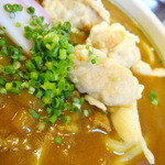 手打うどん すみた - かしわカレー