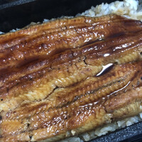 割烹 蒲焼 大沼 - 