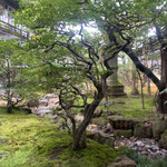 潜龍 - 中庭も綺麗