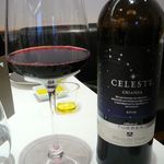 スリオラ - 【Torres Celeste Crianza 2009】♫2012/10