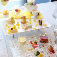 サンシャイン クルーズ・クルーズ - 