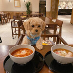 Le Chien Kyu Karuizawa