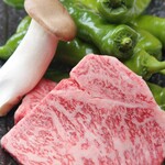 A5 rank Omi beef Steak