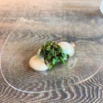 レヴォ - ～越中青バイ～