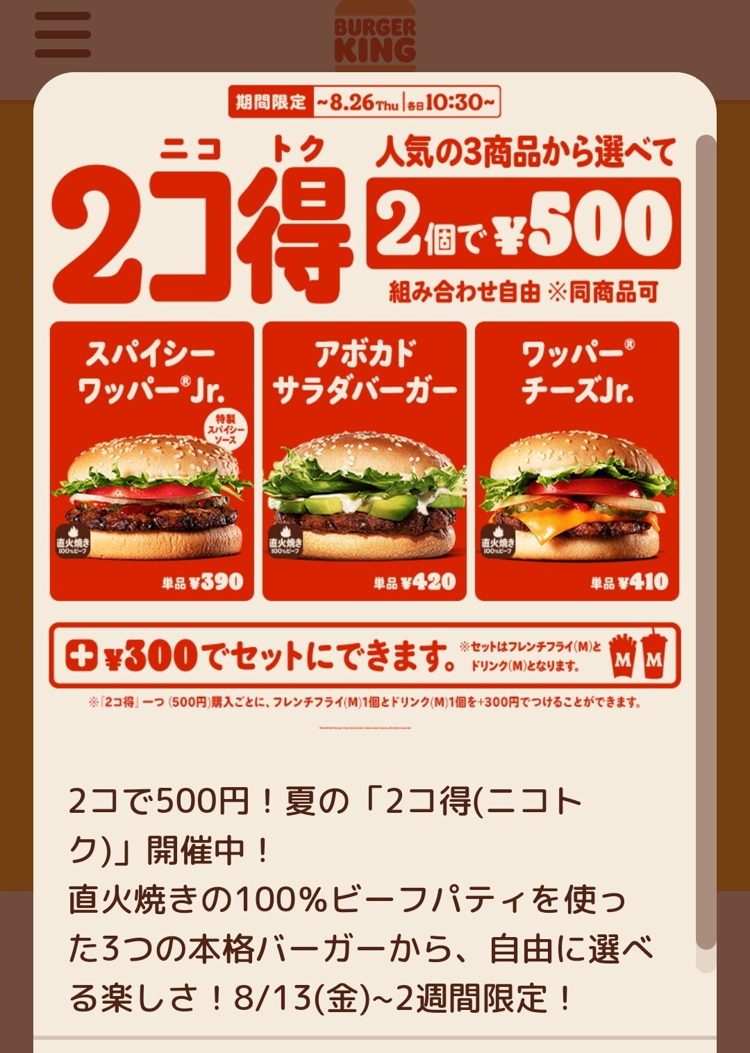 メニュー写真 : バーガーキング 川崎ゼロゲート店 （BURGER KING