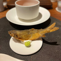 cenci - 
