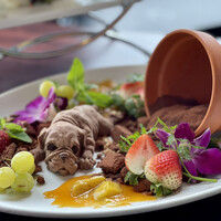 PRIME TOKYO 新宿野村ビル49F - 