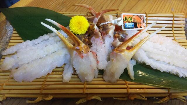 Shiki Shunsai Gojo photo 4