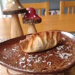 阿蘇レストラン&菓子屋 ギフト - 「きのことサーモンの揚げ餃子」